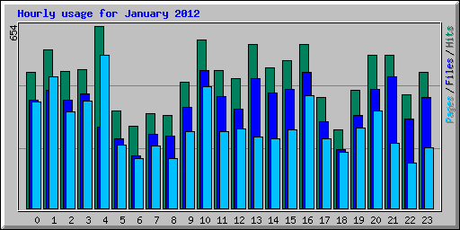 Hourly usage for January 2012