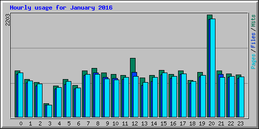 Hourly usage for January 2016